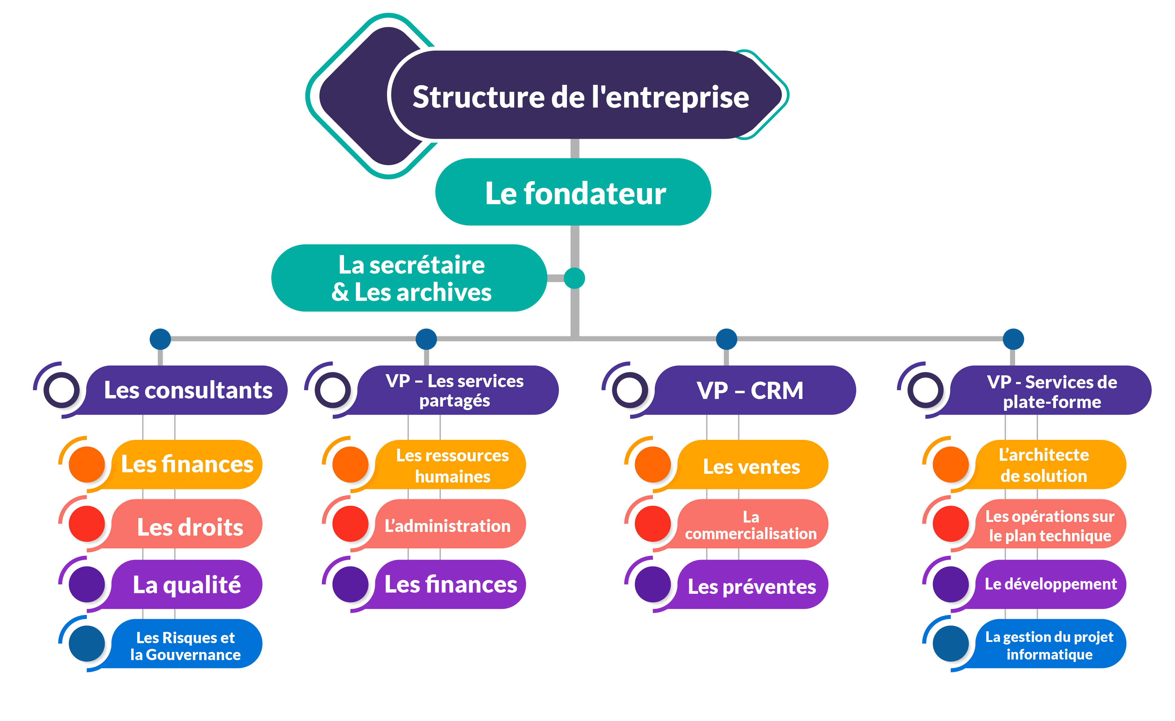 Structure de l'entreprise  NOAH MATRIX